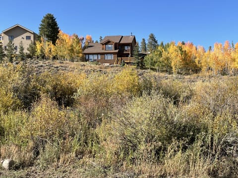 View From Back Deck
Great Place To Look For Deer, 
Moose and Fox