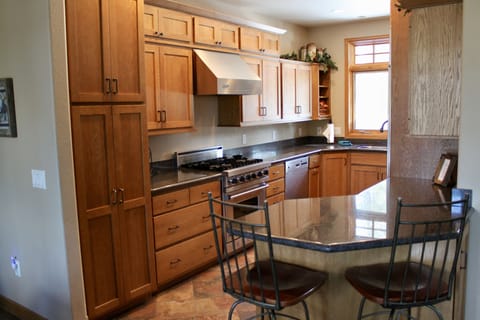 Galley kitchen and bar, viking range