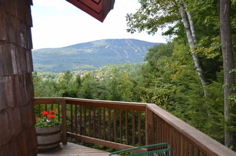 Summer views of Okemo Mountain