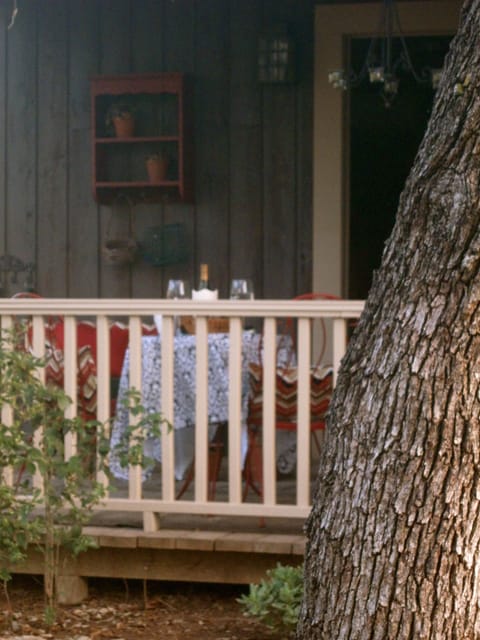 A view of the back porch through the trees.
