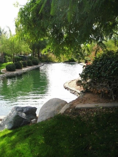 The water feature can be seen from the great room, kitchen and master bedroom