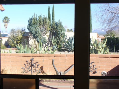 View From Living Room Into Front Patio and Common Space