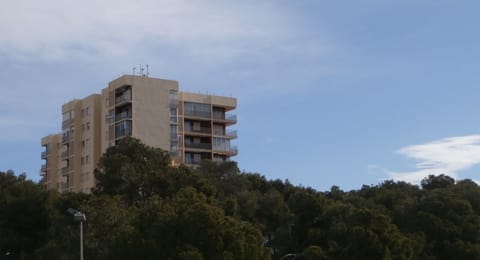 VIEW BUILDING FROM ALBUFERA