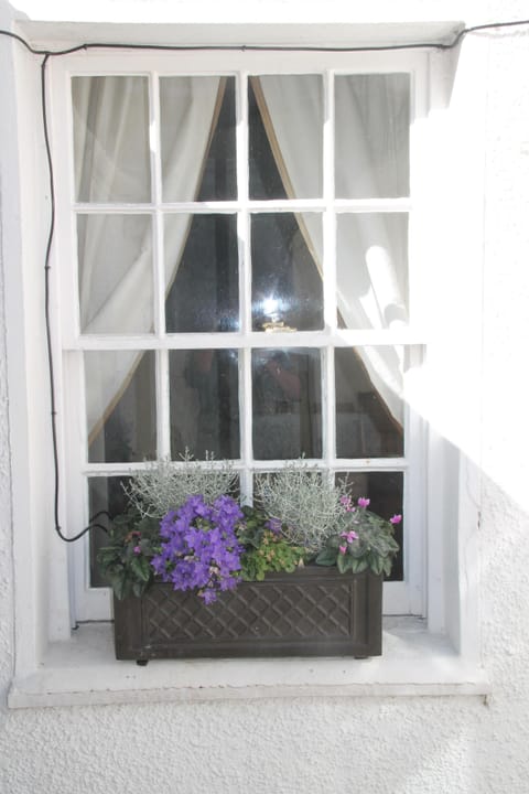 Courtyard Window Box