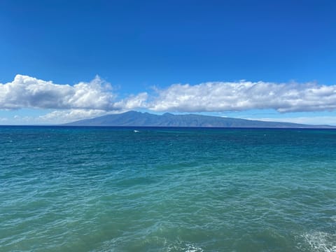 Wow!  What a view!
