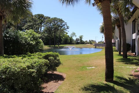 View from outdoor patio.