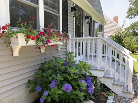 Beautiful window box and hydrangeas can be enjoyed while dining in the kitchen.