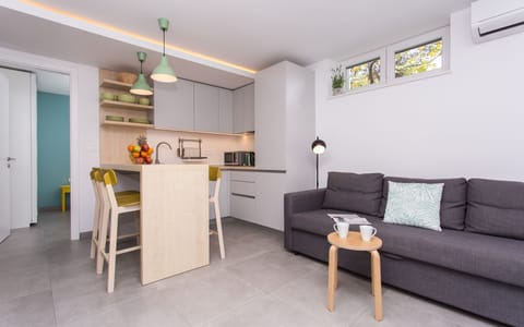 Gray couch can extend into a bed 140*200. Kitchen is fully equipped.