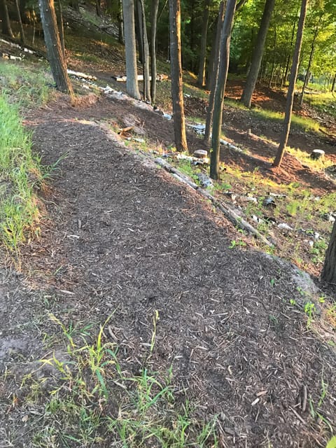 Wood chip zig-zag through the woods on bluff (looking down)