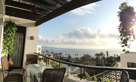 Morning Terrace view