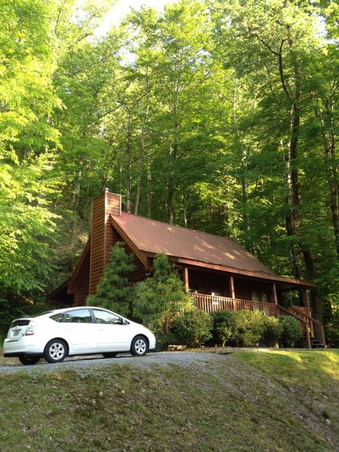 Summer at the Cabin!