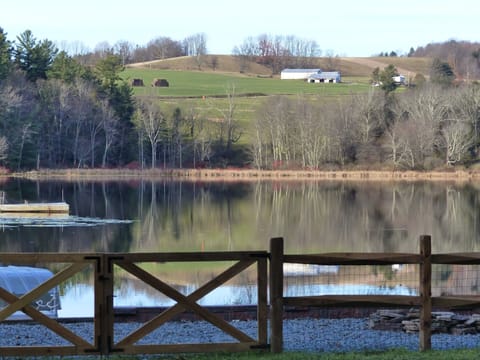 View from lawn. Dock at left, fire pit at right, float left-center