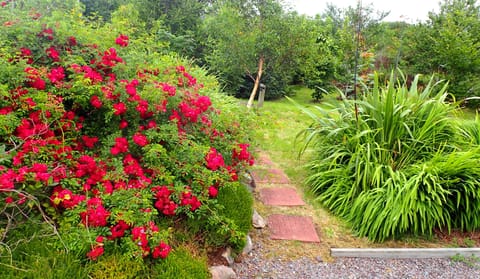 Beautiful walks in the grounds.