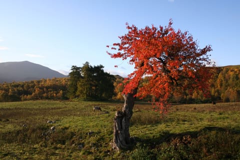 unrivalled views from doorstep
