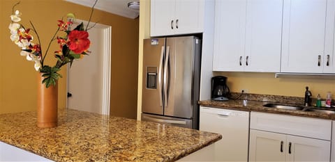 Kitchen granite island