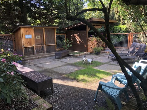 Gather eggs from the hens or take some logs from the wood shed, it is up to you