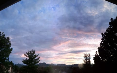 West Picture window view from South porch