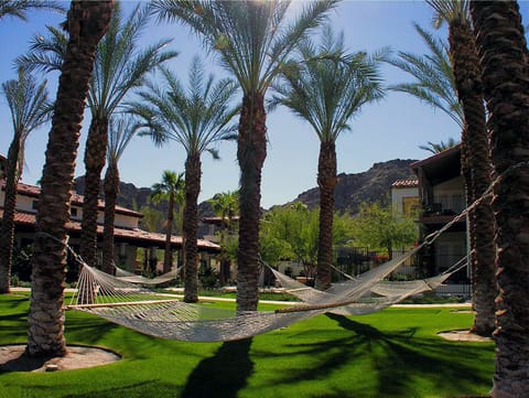 Hammocks at the clubhouse
