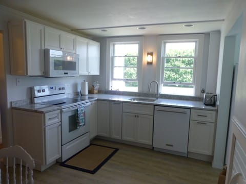 Extra deep granite counters overlooking backyard