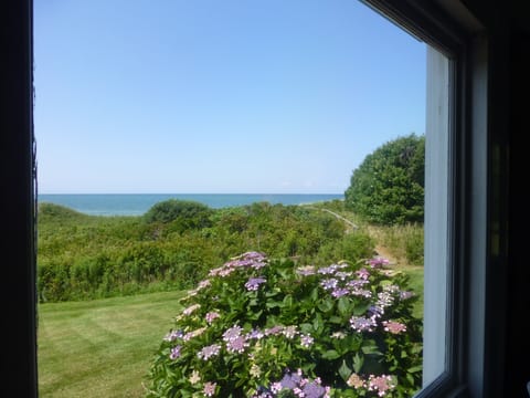 View from living room picture window