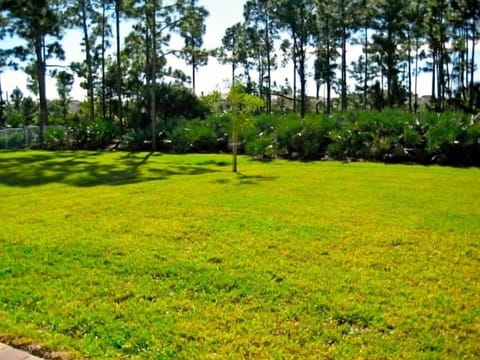 Spacious Lot with Preserves in the Background