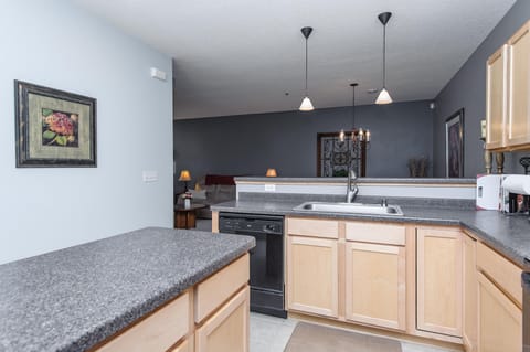 Large single basin sink with disposal.