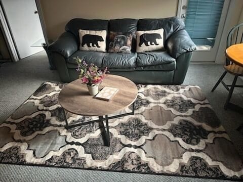 Living room sofa that is also a sleeper.
Recommended for small children.