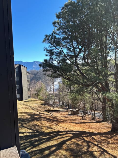 Views from the balcony