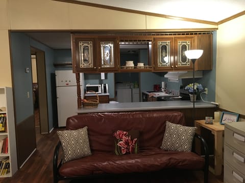 One of 2 Futon Couches that folds out into a comfy bed.