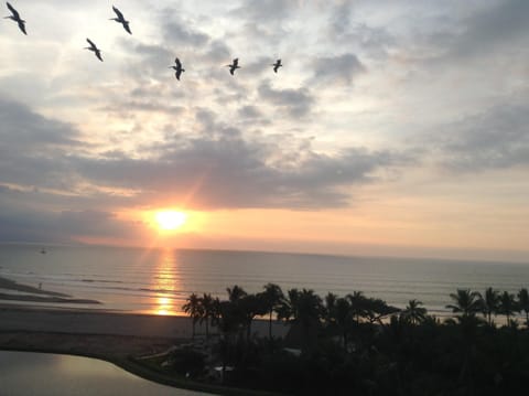 Great views