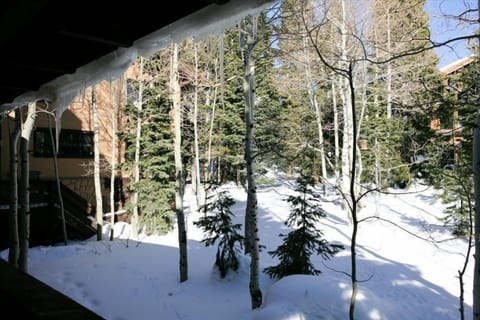 View from outside deck