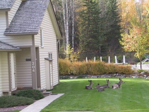 MH204 Lots of friendly neighbors