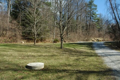Front yard and driveway