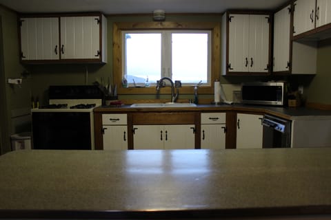 Showing island area.