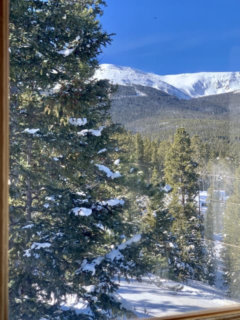 view from your shower!