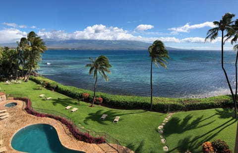 Your treetop, panoramic view of Maalaea Bay & 10,043' dormant volcano, Haleakala