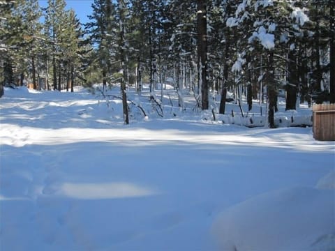 Forest service land behind the house provides extra privacy