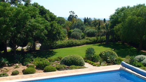 Look in the garden with pool
