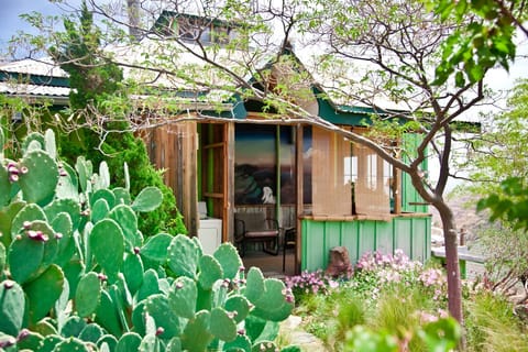 veranda in the back of the house