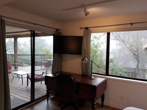 Who can work with views like this?  New TV swings out to view from bed.