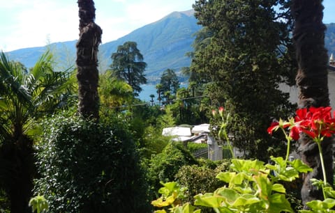 view from the apartment