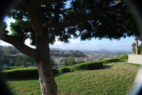 View from front entrance