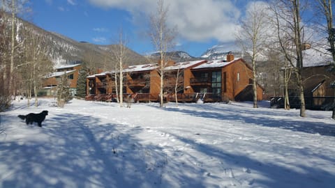 Looking towards the back deck of our townhome from our private open space