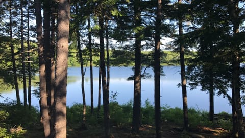 View from porch area