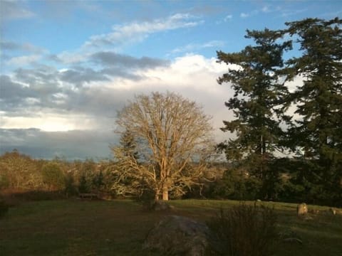 Wintertime View from the Hot Tub across the meadow