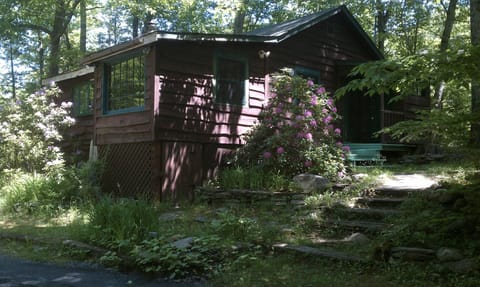 Charming Cabin