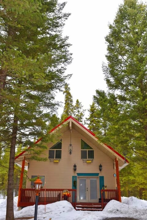 Stay in a lovely cabin in the woods, enveloped by tall pines and the beauty of nature.