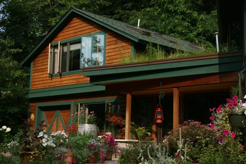 This is a shot looking at the green roof and your studio.