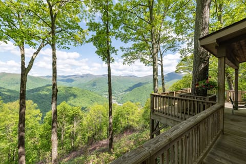 view, view, view