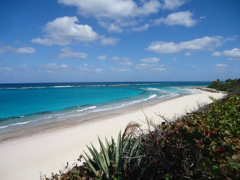 Your own private beautiful white pink sand beach...
